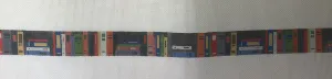 Susan Roberts 3572 Books on a Shelf, belt 18m